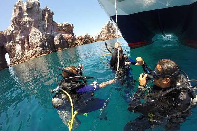 Los Cabos Beginner Scuba Dive Experience - Meeting the marine life of the Sea of Cortez
