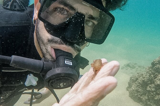 Los Cabos Beginner Scuba Dive Experience - How the small group changes the outing