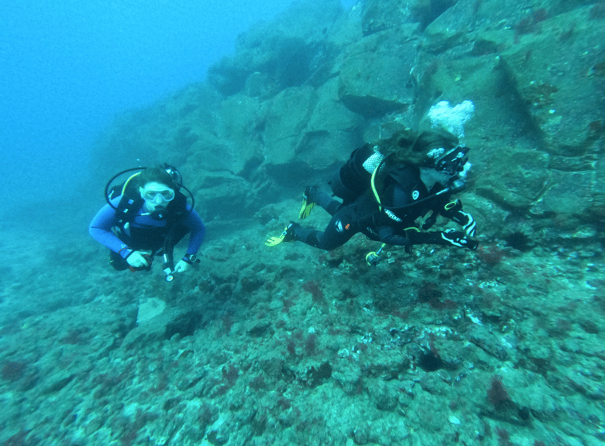 Los Cristianos: Try Dive for beginners - The equipment and safety setup