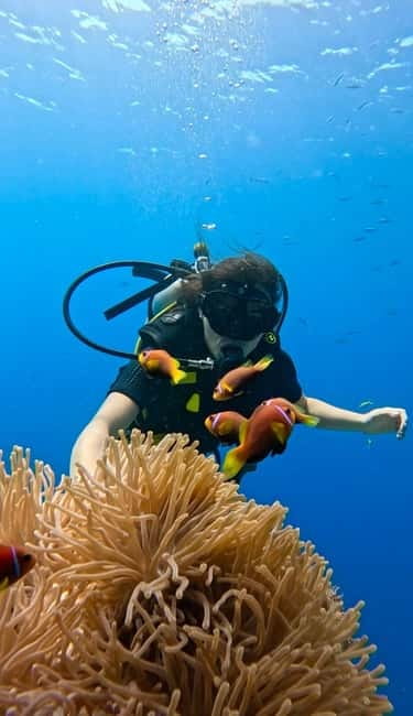 Maafushi: Discover Scuba Diving Class, First Time Experience - Reaching the coral garden by boat