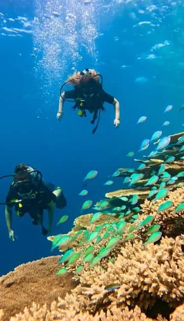 Maafushi: Discover Scuba Diving Class, First Time Experience - Your first underwater session