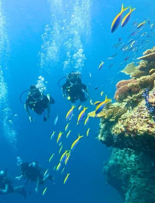 Maafushi: Discover Scuba Diving Class, First Time Experience - What the $110 price covers