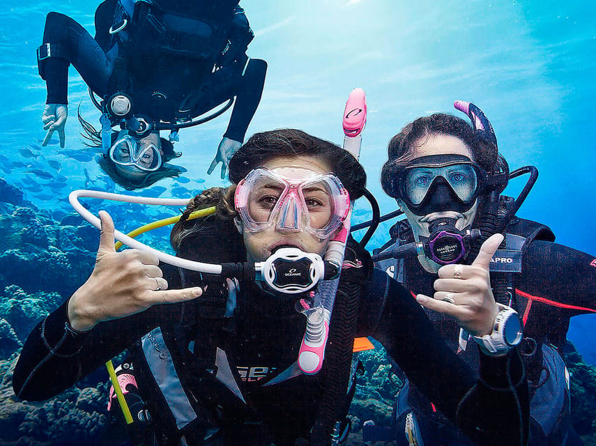 Madeira, Ponta São Lourenço: Scuba Diving for Beginners - Reaching the private reef without a long boat ride
