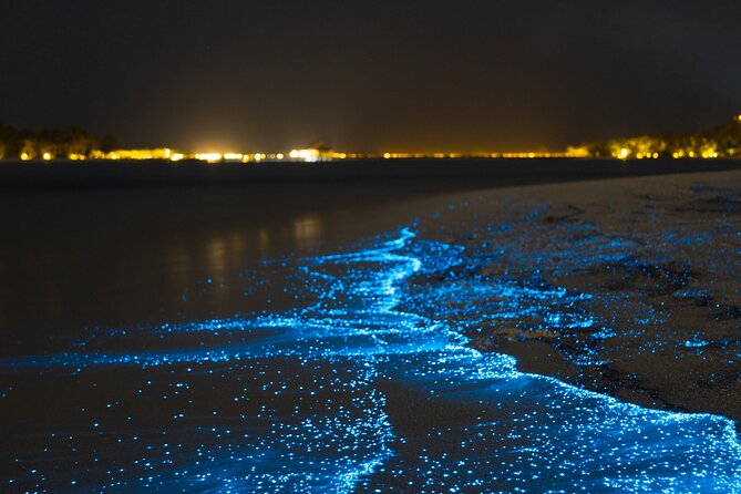 Magical Bioluminescent Night Dive - Why Bonaire’s darkness matters