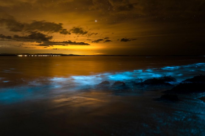Magical Bioluminescent Night Dive - Why the guide makes a difference