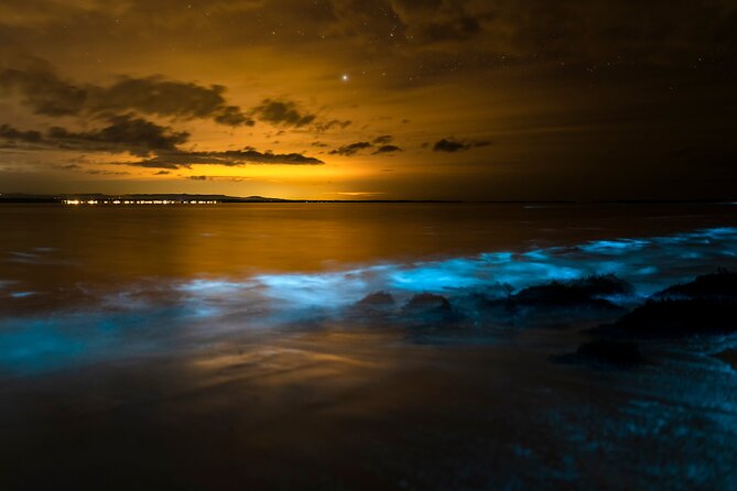 Magical Bioluminescent Night Dive - Getting the equipment ready