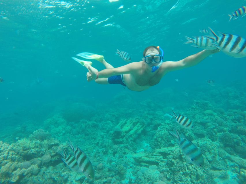 Makadi Bay: Snorkelling and Diving Island Trip - Setting out from Makadi Bay