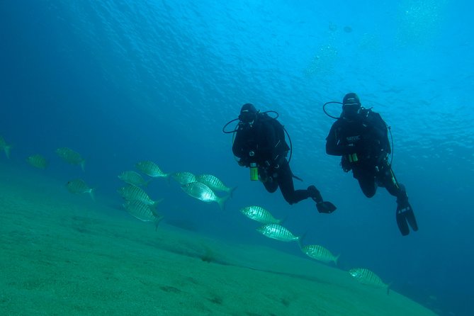 Make a private Try Dive, for your first Scuba experience! - Why the supplied equipment matters
