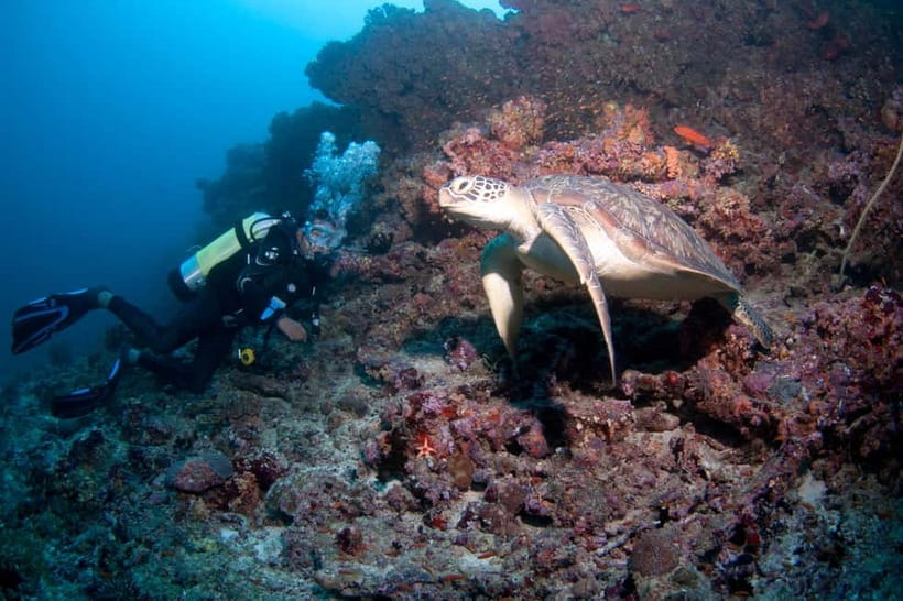 Maldives: Discover Scuba Diving - Starting at Furuba Beach with time to prepare