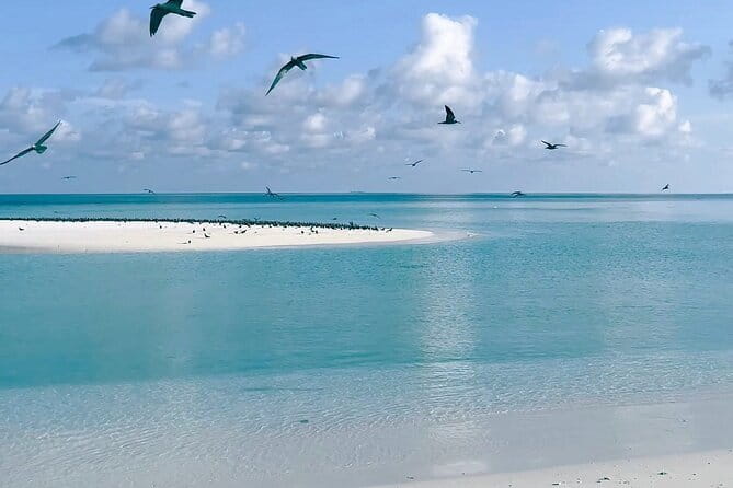 Maldives Dive Cruise Central Atolls Adventure - Day six: North Ari pinnacles and a possible Malé tour