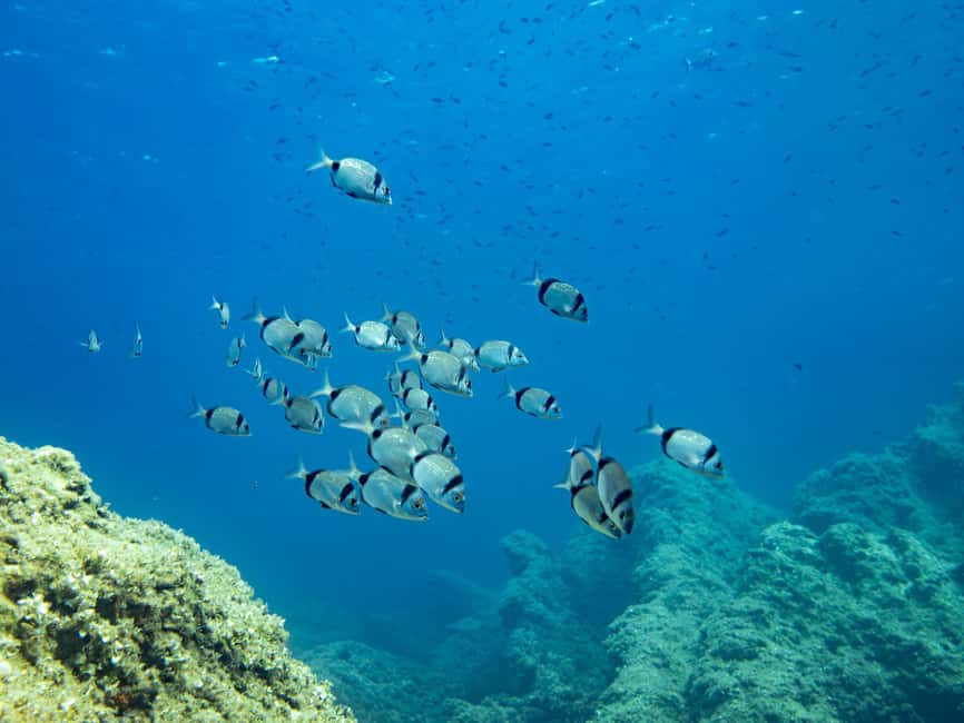 Mallorca: Adventure Diving (without a license - in the quiet off-season) - A Calm First Step Into Scuba