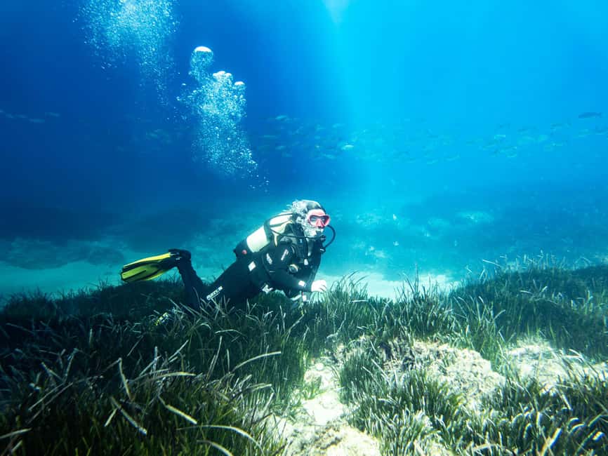 Mallorca: Adventure Diving (without a license - in the quiet off-season) - What to Bring and What to Expect Afterward