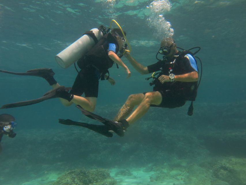 Mallorca: Discover Scuba Diving for Beginners - What the $176 price includes