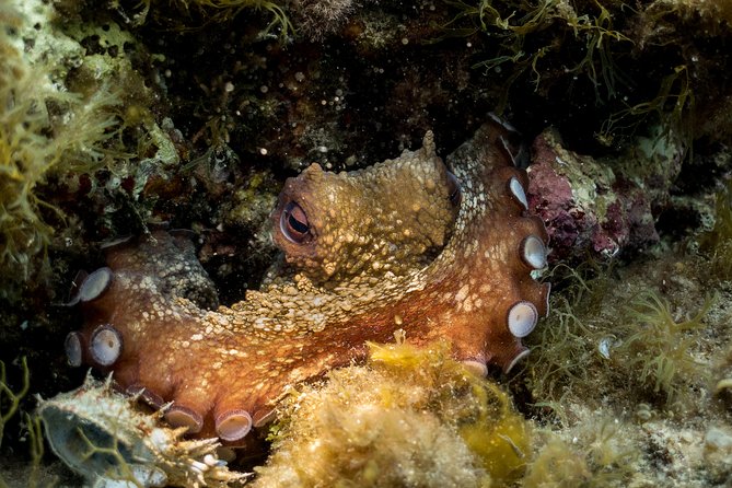 Mallorca: Discover Scuba Diving from the beach - The short theory lesson is more important than it sounds
