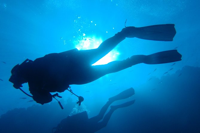 Mallorca: Discover Scuba Diving from the boat - The boat ride leads to two different sessions