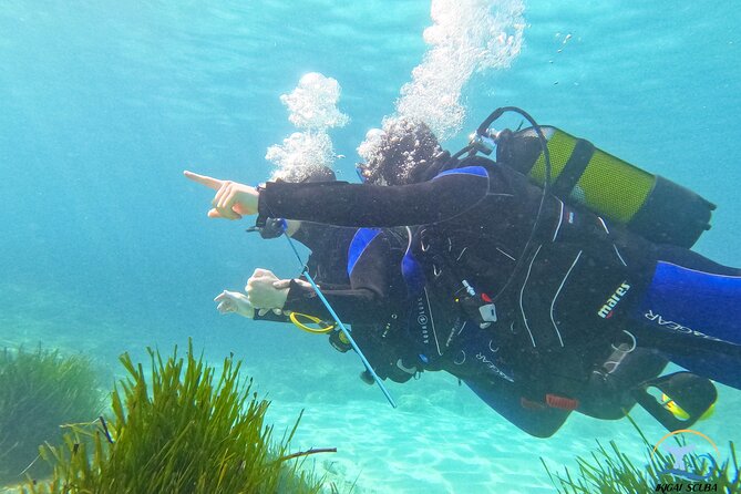 Mallorca PRIVATE Reservation<em>Scuba dive + photo/video – Key points to know before booking’ /></p>
<ul>
<li><strong>Private from start to finish:</strong> Only your party takes part, with one instructor for up to two people.</li>
<li><strong>Begins in shallow water:</strong> You start at about 1 meter and progress only when you feel comfortable.</li>
<li><strong>Maximum depth of 6 meters:</strong> This is a gentle introduction, not a full certification course.</li>
<li><strong>About 45 to 50 minutes underwater:</strong> The complete outing takes around two hours.</li>
<li><strong>GoPro 10 photos and videos included:</strong> An assistant records you while you learn and look for sea life.</li>
<li><strong>Shore access near Palma:</strong> The meeting point is in Bendinat, with the underwater location about 15 minutes by car from Palma.</li>
</ul>
<h2>Why this private Mallorca session works for beginners</h2>
<p>Scuba dive + photo/video – Why this private Mallorca session works for beginners’ /></p>
<p><p>Trying scuba for the first time can feel strange. Your body wants to breathe normally, but your face is covered and your air comes through a regulator. The smart part of this session is that you do not begin by being led straight into deep water.</p>
</p>
<p><p>The program starts with roughly 10 minutes of simple theory. The instruction is given in basic English, and the provider says the explanation is easy to follow. French theory is available online by phone, along with more than 24 other languages, which may help if English is not your first language.</p>
</p>
<p><p>Then you enter from shore. The first goal is simply breathing with the equipment at about 1 meter. You learn how the mask and regulator feel, how to adjust your breathing, and how to stay relaxed in the water. Only after you are comfortable do you move farther down.</p>
</p>
<p><p>That slow start matters. A nervous beginner does not need more information thrown at them. You need a calm person beside you, time to settle, and clear signals about what happens next. Alex and Jose have 13 years of teaching experience and thousands of underwater sessions between them, according to the provider.</p>
</p>
<p><p>The instructor remains in physical contact with you during the session and helps guide your movement. The equipment can also be inflated like a life jacket, allowing you to float with your instructor if a problem occurs. You do not need to know how to swim, though you should read the medical information before booking and answer the health questions honestly.</p>
</p>
<div class="twil" style="margin: 20px 0; padding: 15px 0;"><p>More Private Dive Charters in Spain</p><ul style="margin: 10px 0; padding-left: 0; list-style: none;"><li style="margin: 0 0 12px 0; padding: 0 0 12px 0; border-bottom: 1px solid #DEF6F9; line-height: 1.4;"><a href="https://scubadiveexplorer.com/private-beginner-scuba-experience-in-mallorca/">Private Beginner Scuba experience in Mallorca</a><br><span style="font-size: 0.82em; color: #555;"><span style="color: #12C2D6;">★</span> 5.0 · 117 reviews</span></li><li style="margin: 0 0 12px 0; padding: 0 0 12px 0; border-bottom: 1px solid #DEF6F9; line-height: 1.4;"><a href="https://scubadiveexplorer.com/private-scuba-diving-in-tenerife-certified-instructor-photos/">Private Scuba Diving in Tenerife – Certified Instructor & Photos</a><br><span style="font-size: 0.82em; color: #555;"><span style="color: #12C2D6;">★</span> 5.0 · 103 reviews</span></li><li style="margin: 0; padding: 0; border-bottom: none; line-height: 1.4;"><a href="https://scubadiveexplorer.com/tenerife-private-scuba-diving-certified-instructor-photos/">Tenerife: Private Scuba Diving–Certified Instructor & Photos</a><br><span style="font-size: 0.82em; color: #555;"><span style="color: #12C2D6;">★</span> 4.9 · 65 reviews</span></li></ul></div><h2>Alex and Jose keep the group small</h2>
<p><img width="669" height="446" decoding="async" src=