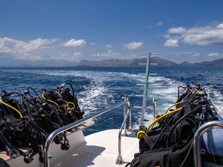 Mallorca: Scuba Dive Adventure Cap Formentor - 1 Dive (license required) - What you may see below the surface