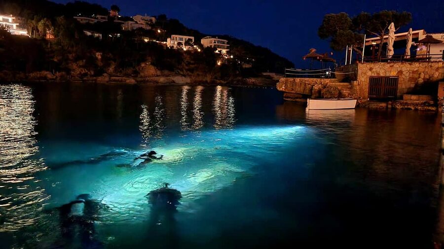 Mallorca: Scuba Diving for Beginners - Key points for your first underwater session