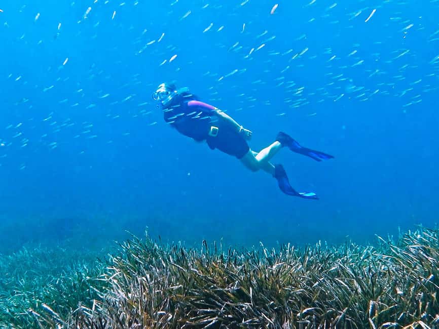 Mallorca: Snorkeling tour with diving instructor from a boat - Cap de Formentor - The return trip, photos, water, and cookies