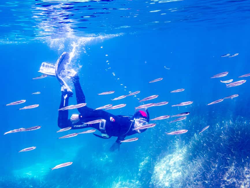 Mallorca: Snorkeling tour with diving instructor from a boat - Cap de Formentor - Fifty minutes among fish and rocky sea life