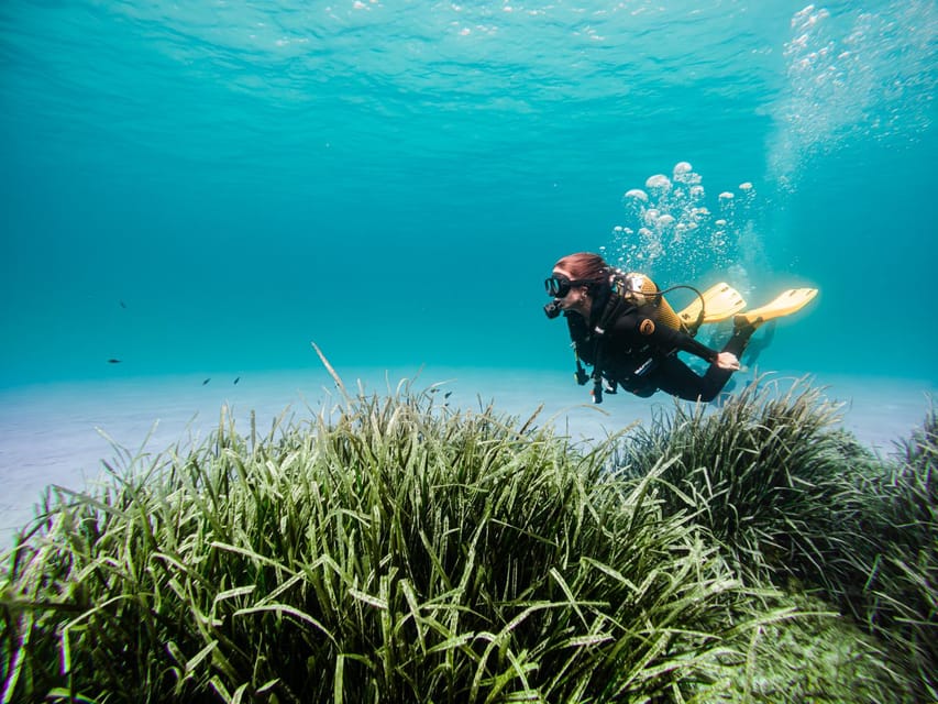 Mallorca: Try Scuba Diving by Boat - Entering Mallorca’s clear coastal water