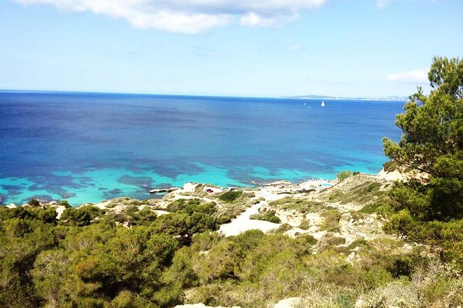 Mallorca: Try Scuba Diving in a Beautiful Nature Reserve - What the 3.5-hour schedule feels like
