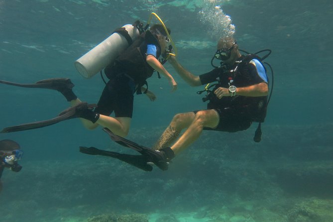 Mallorca: Try Scuba Diving in a Beautiful Nature Reserve - Cala Delta Bay and the underwater view