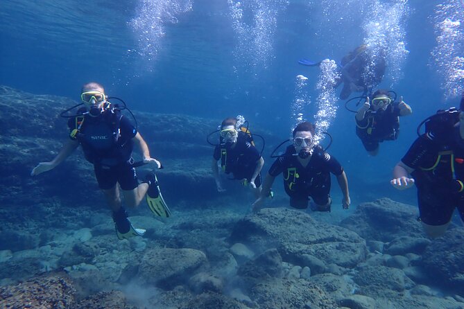 Mallorca: Try Scuba Diving in a Beautiful Nature Reserve - Is $192.97 a fair price?