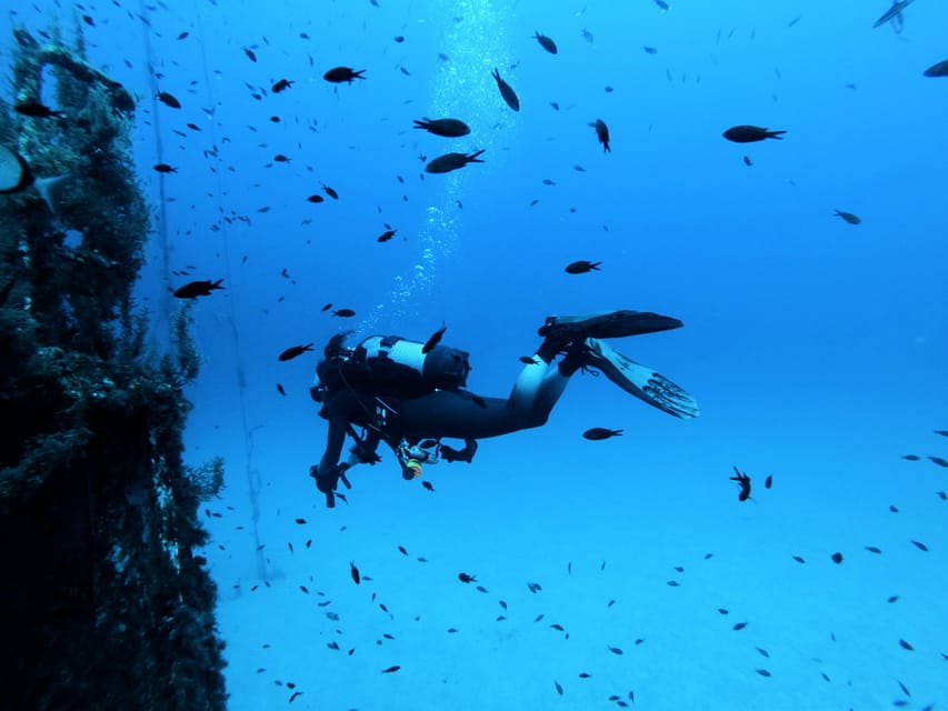 Malta: 2 Scuba Fun Dives for Certified divers - Key points at a glance