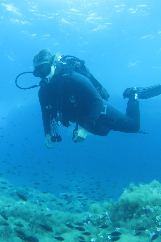 Malta: 2 Scuba Fun Dives for Certified divers - The second session and return to the centre
