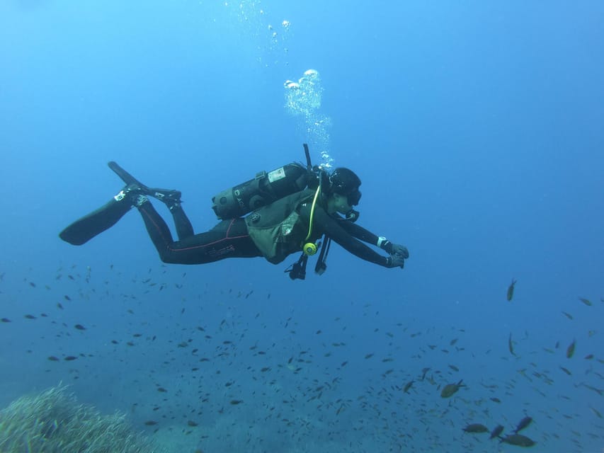 Malta: 2 Scuba Fun Dives for Certified divers - Health rules you need to take seriously
