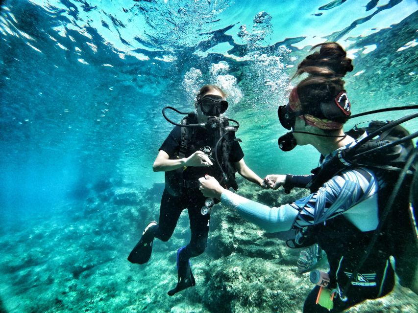 Malta: First Experience Scuba Diving Lesson - Second session: a short underwater outing