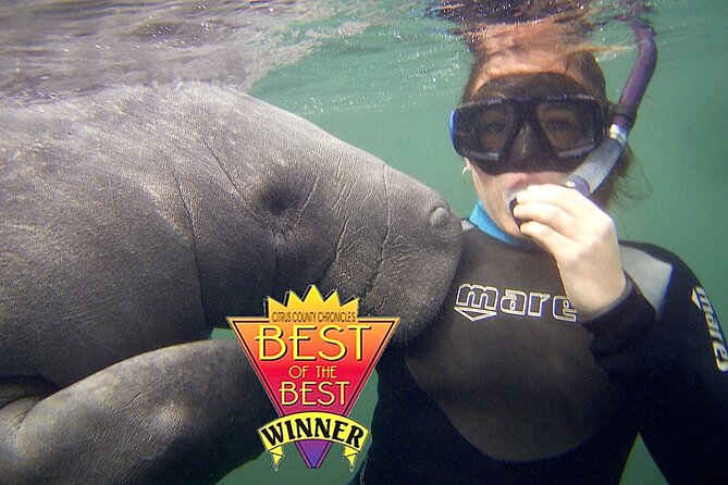 Manatee Snorkel Tour from American Pro Diving Center - Guides, group size, and the quality of help