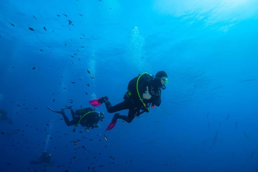 Marina di Campo: Try diving on the island of Elba - The 30-minute lesson before you leave shore