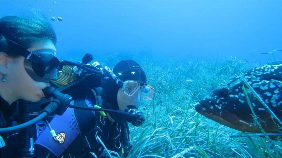Marina di Campo: Try diving on the island of Elba - What the 20 to 25 minute sea session feels like
