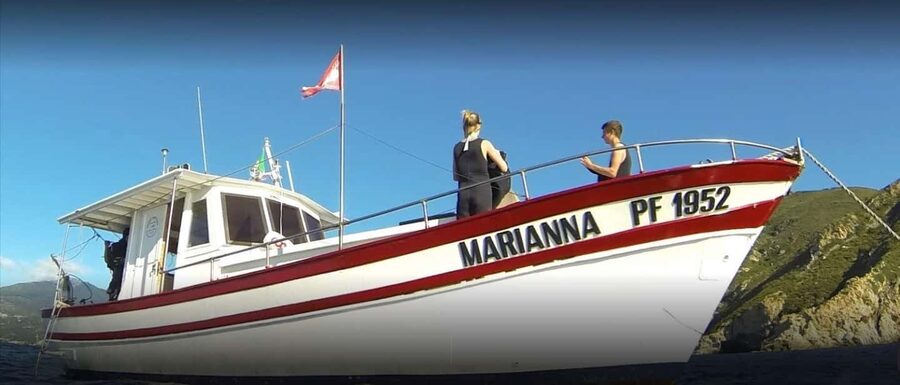 Marina di Campo: Try diving on the island of Elba - Who should book this experience