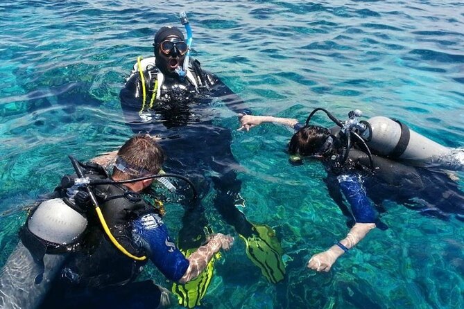 Marmaris Full Day Scuba Diving Two Dives With Lunch Hotel pickup - What happens at Marmaris harbor