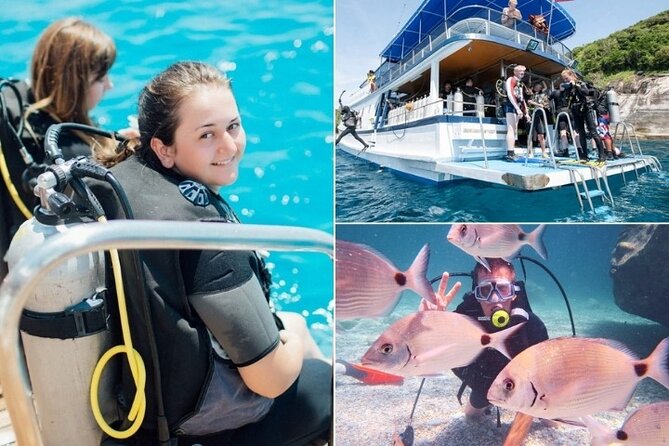 Marmaris / Icmeler : Scuba Diving with Lunch and Transfer - Key points to know before booking