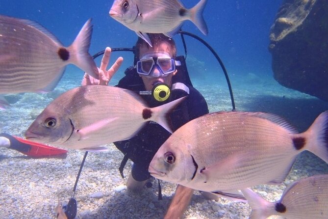 Marmaris / Icmeler : Scuba Diving with Lunch and Transfer - Why the two sessions are better than one