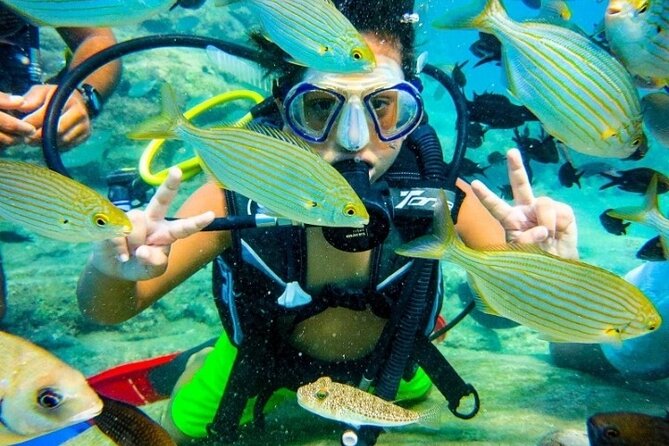 Marmaris / Icmeler : Scuba Diving with Lunch and Transfer - What your seven-hour day looks like