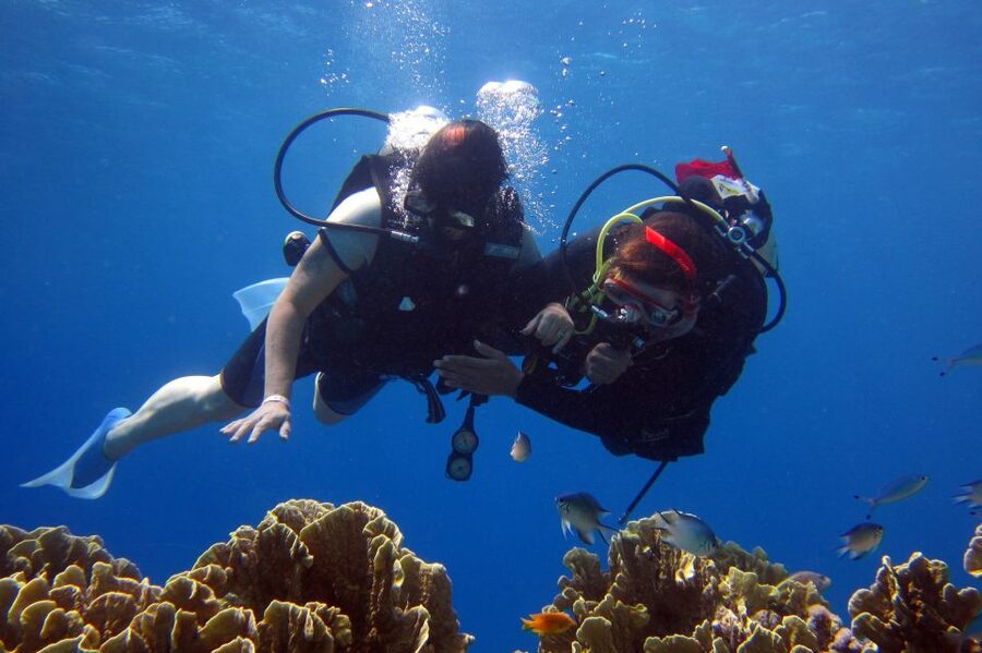Marmaris: Scuba Diving Experience with 2 Dives and Lunch - Key points to know before you book