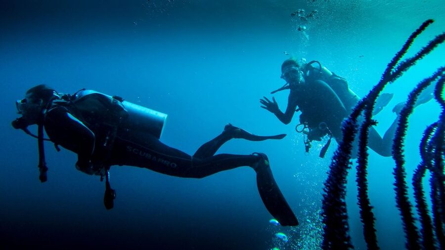 Marmaris: Scuba Diving Experience with 2 Dives and Lunch - What the Marmaris scuba day is really like