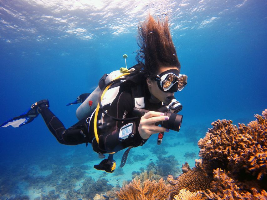 Marmaris: Scuba Diving Experience with 2 Dives and Lunch - Is $41 good value?