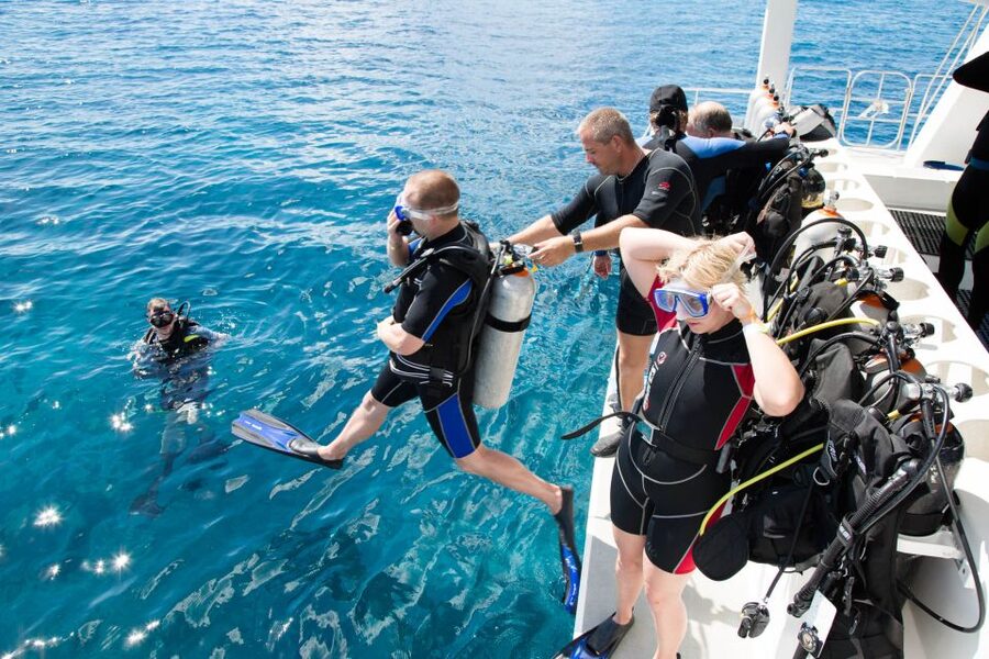 Marmaris: Scuba Diving Experience with 2 Dives and Lunch - First lesson on land, then a careful start