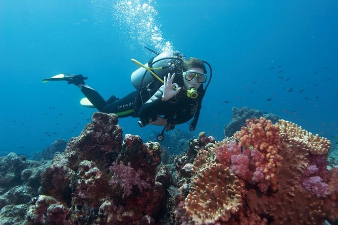 Marmaris Scuba Diving Experience with Lunch & Hotel Transfers - Key points at a glance