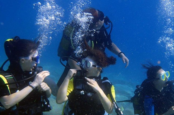 Marmaris Scuba Diving Experience with Lunch & Hotel Transfers - Who will enjoy this Marmaris outing