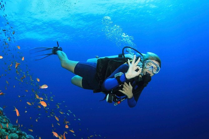 Marmaris Scuba Diving Experience with Lunch & Hotel Transfers - Practical advice before you book
