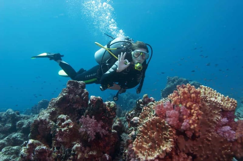 Marmaris: Scuba Diving, Incl. 2 Dive, Lunch w/Hotel Transfer - Key points to know before booking