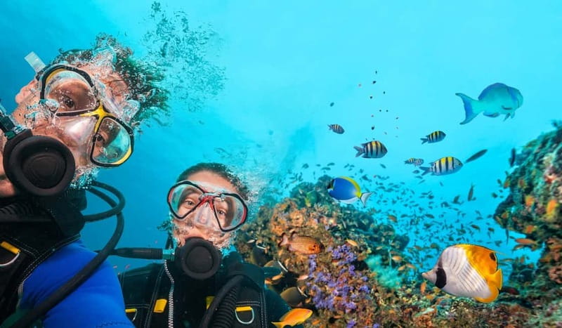 Marmaris: Scuba Diving, Incl. 2 Dive, Lunch w/Hotel Transfer - How the first underwater session works