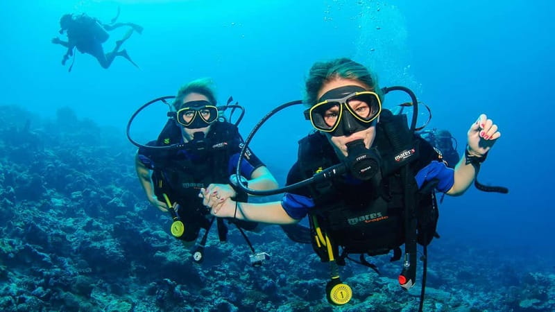 Marmaris: Scuba Diving, Incl. 2 Dive, Lunch w/Hotel Transfer - The second session and the final swim